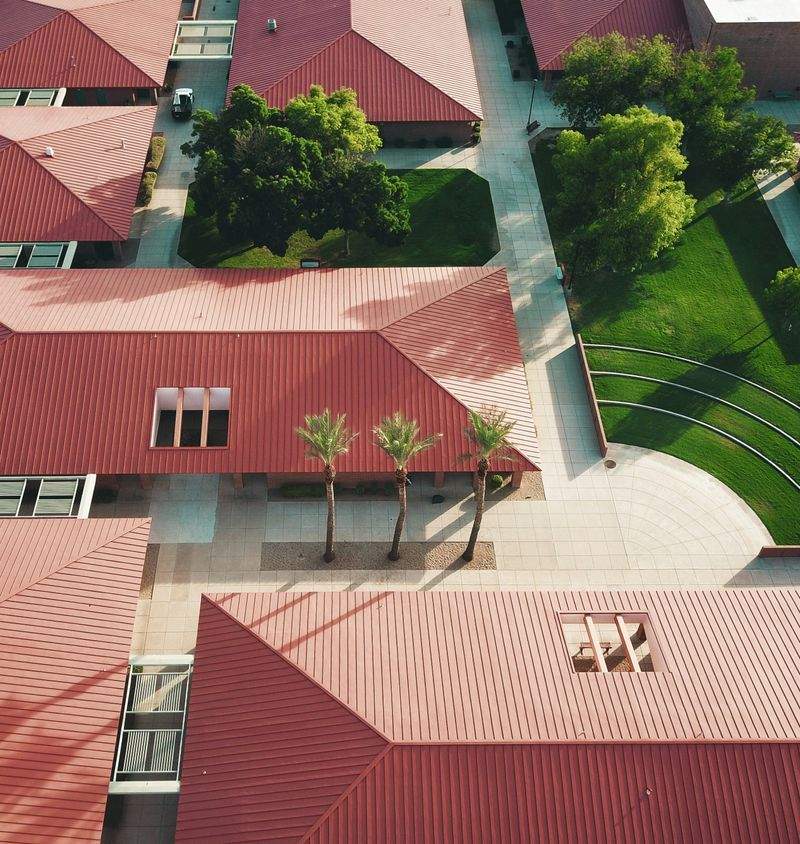 さくら未来学園 4
